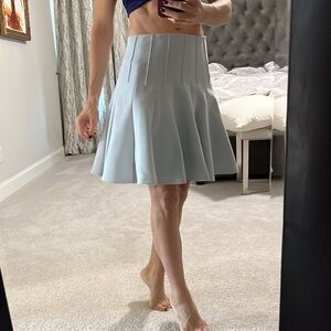 BCBG Skirt